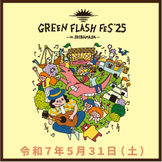 GREEN FLASH FES